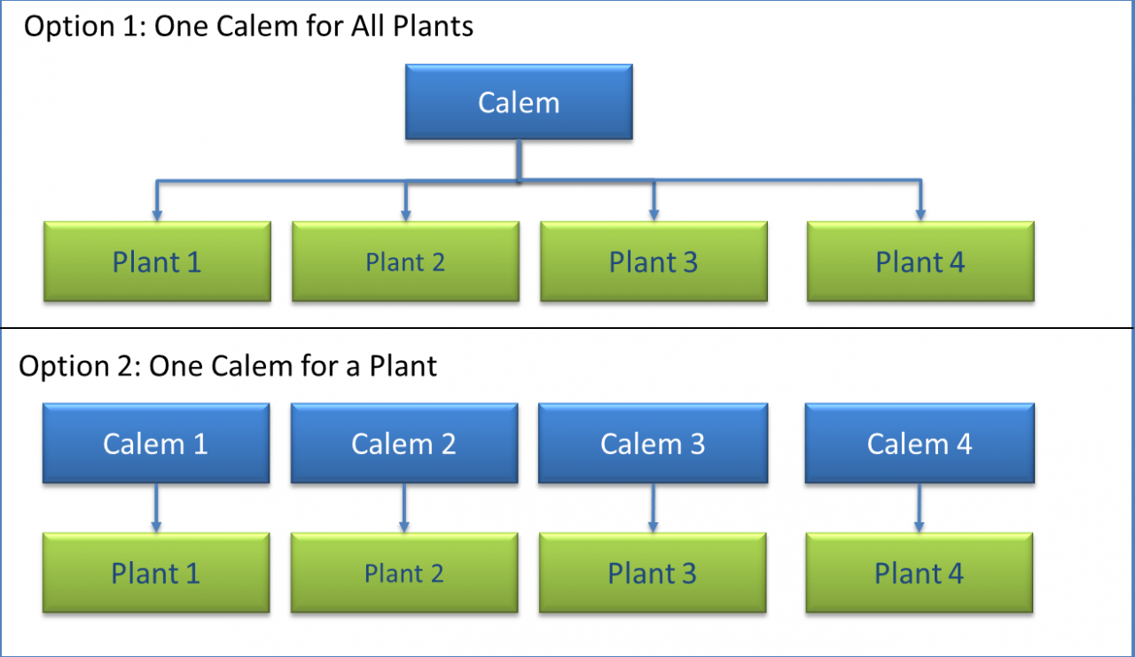 How to Implement Calem for Multiple Business Units?